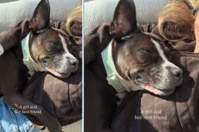 Shelter Dog & Alix Earle Are Besties Over a Year After Adoption