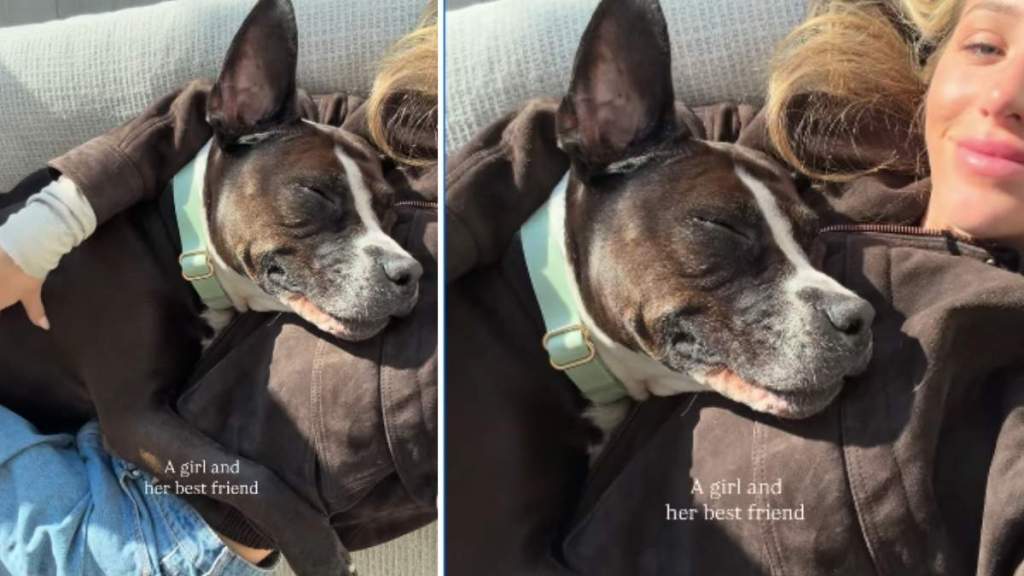 Shelter Dog & Alix Earle Are Besties Over a Year After Adoption