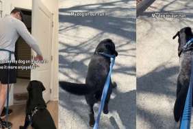 Dog Joins Dad’s Run To Make It Enjoyable, but Things Don’t Go as Planned