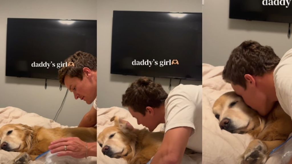 Video: Golden Retriever Gets 'Daddy's Girl' Treatment After Injury
