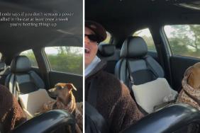 Dog Joins Owner’s Power Ballad Rendition in Viral Video