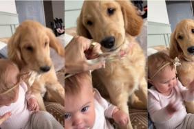 Puppy Tries To Steal Little Girl’s Bow, But Listens When Mom Says No