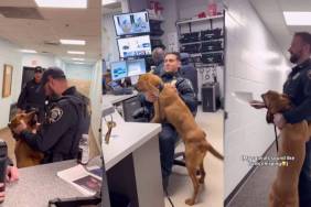 Video: Police Dog Greets Everyone Despite Arriving Late at Roll Call