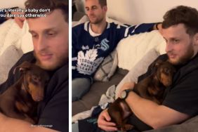 Dog Is Literally Just a Baby, All He Wants Is Beard Scratches