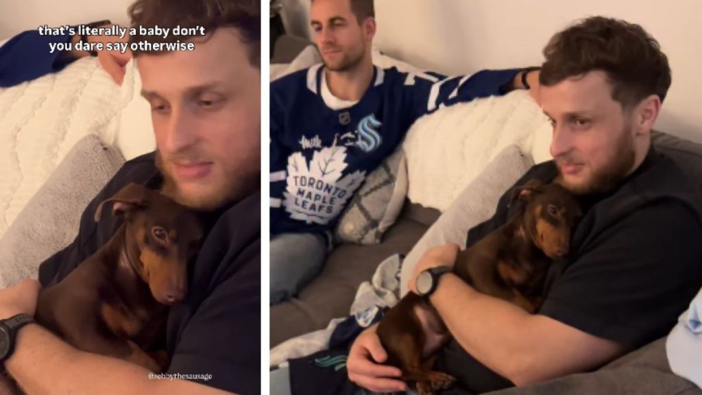 Dog Is Literally Just a Baby, All He Wants Is Beard Scratches