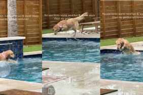 Video: Owner Shows Dog’s Love for ‘Warm Weather & Water'