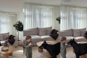 Big Dog Is Cautious About His Speed While Playing Chase With Toddler
