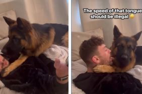 Dog Gets 'Offended' After Owner Copies Him
