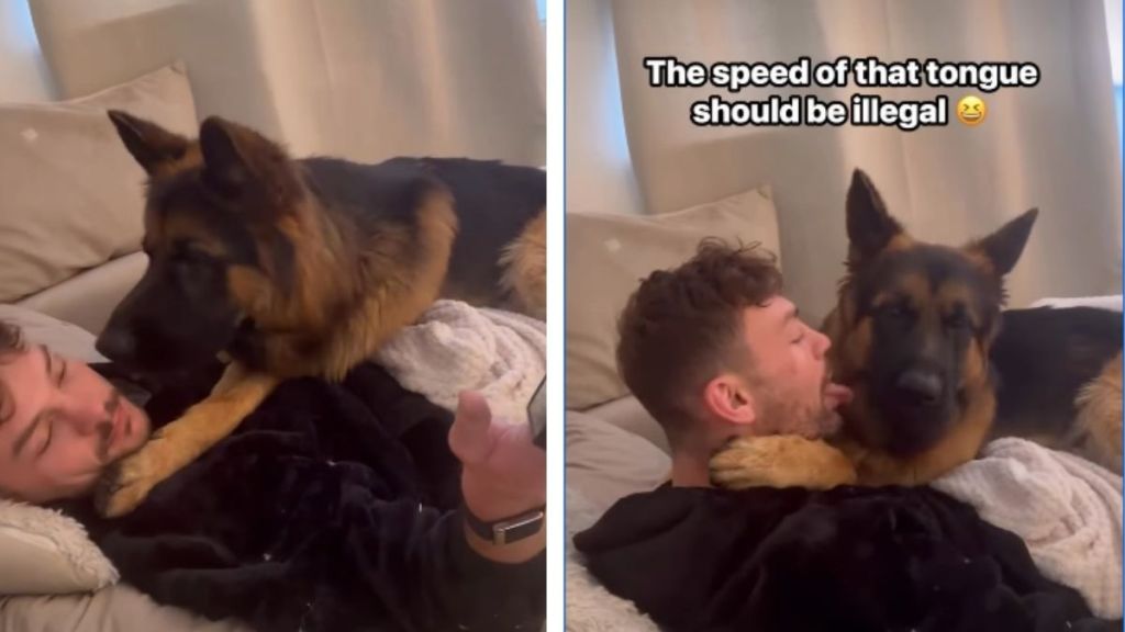 Dog Gets 'Offended' After Owner Copies Him