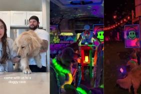 Golden Retriever Has the 'Best Day Ever' at a Doggy Rave