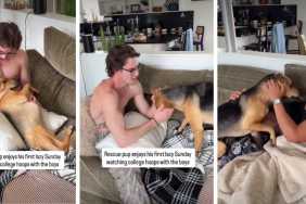 Rescue Pup Acts Like He’s Known Owner’s Friends Forever