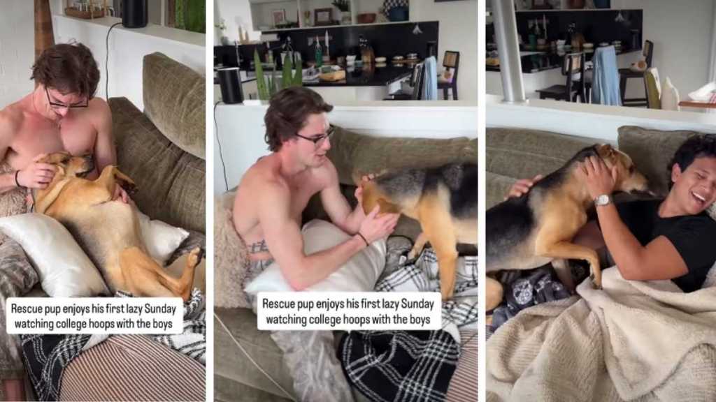 Rescue Pup Acts Like He’s Known Owner’s Friends Forever