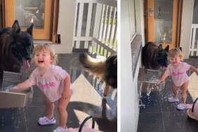 Video: Big Dogs Use Their Water Bowl to Play With Tiny Human