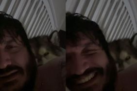 Dog Sleeps & Snores Next to Owner Like He Pays the Rent in Funny Video