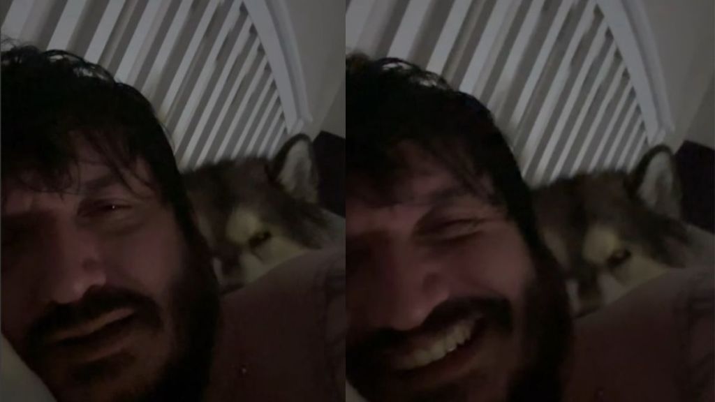 Dog Sleeps & Snores Next to Owner Like He Pays the Rent in Funny Video