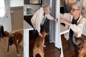 Dog Lets Grandma Know Exactly What She’s Unhappy About During Visit