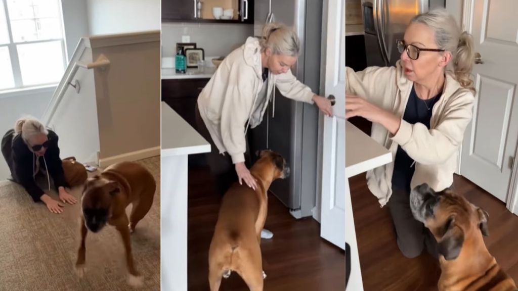 Dog Lets Grandma Know Exactly What She’s Unhappy About During Visit