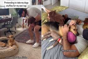Rescue Dog Sees Dad Napping With His Toys, Then Joins Him for Cuddles
