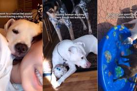 Rescue Dog That Almost Didn’t Get Adopted Has Spent 15 Years With Mom