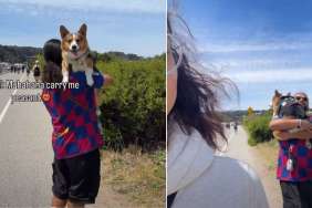 Owner Had To Carry Dog to Car After Playing at Beach