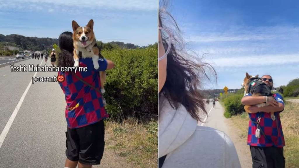 Owner Had To Carry Dog to Car After Playing at Beach