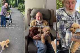 Dog Always Runs to the Man Who Wanted Company When She Met Him as a Pup