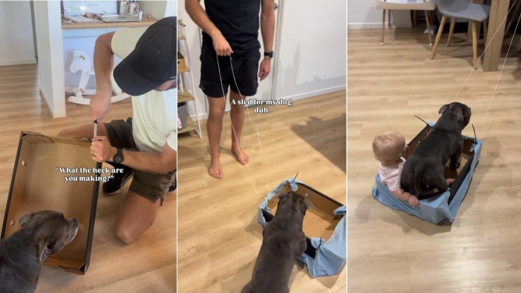 Dog Takes Little Baby Along for Ride as They Zoom by on Sled Dad Made