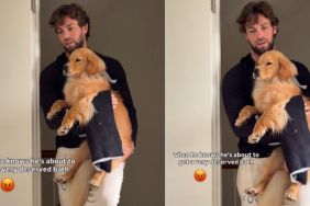 This Rescue Puppy’s Face Says Exactly How He Feels About Bath Time