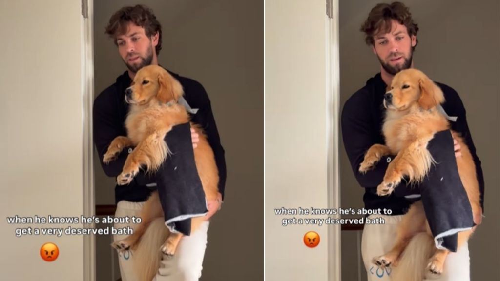 This Rescue Puppy’s Face Says Exactly How He Feels About Bath Time