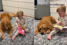 Owner Shows How Dog Can Help Kid Learn To Read
