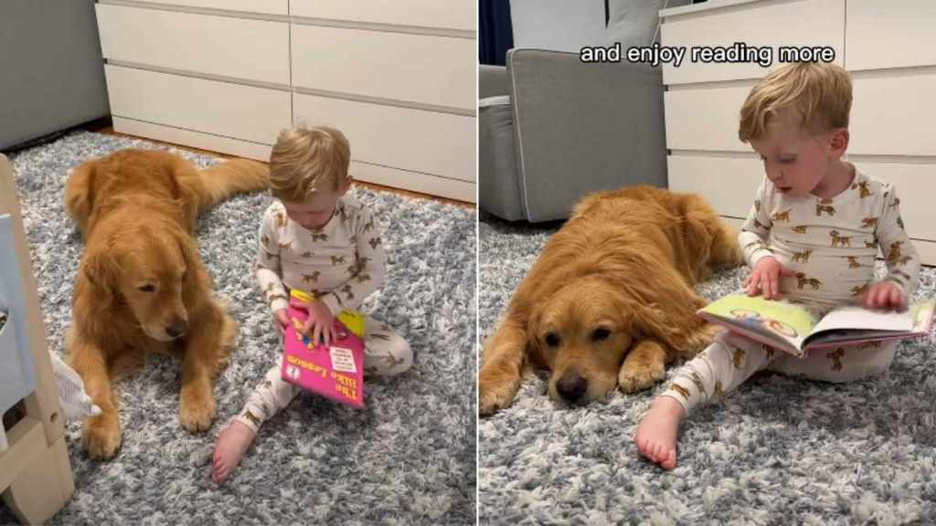 Owner Shows How Dog Can Help Kid Learn To Read