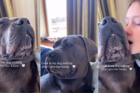 Dog Literally Melts Like Ice Cream Sundae After Mom Gives Her Kisses