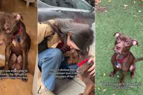 Neglected Rescue Dog Becomes Someone’s Whole World in the Blink of an Eye