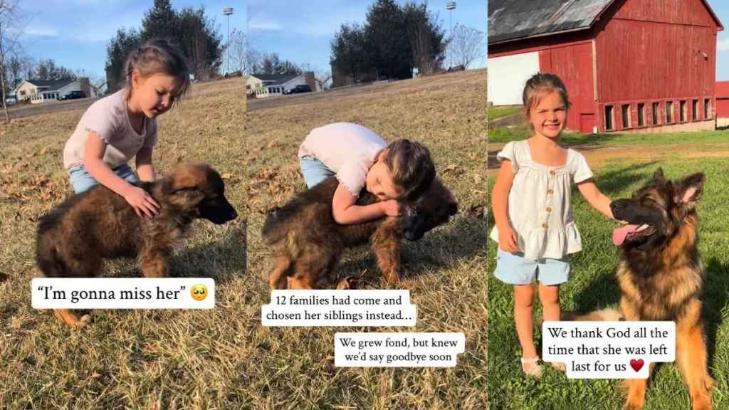 Dog Gets To Grow up With Little Girl After Being the ‘Last Pick’ Pup