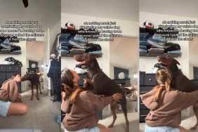 Dog Realizes Mom’s Leaving Town & Turns Into a Big Baby Needing Comfort