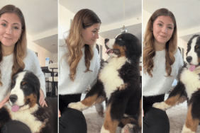 Dog Is Glued to Mom at All Times Because That’s Their New Normal Now