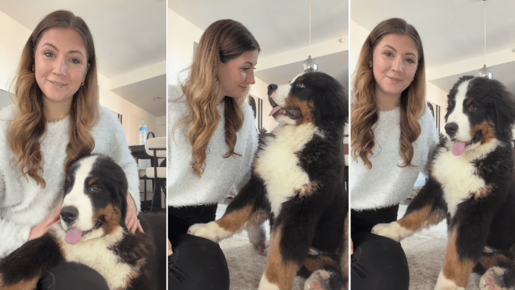 Dog Is Glued to Mom at All Times Because That’s Their New Normal Now