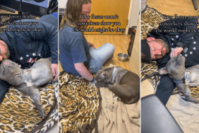 Foster Dog Finally Realizes the World Might Not Be That Bad After All