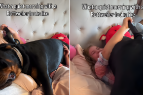 Dog Has Unusual Way of Showing Love to Little Girl While Snuggling