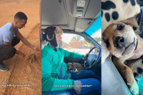 Rescue Puppy Becomes the Reason Owners’ Lives Are Even Better Now