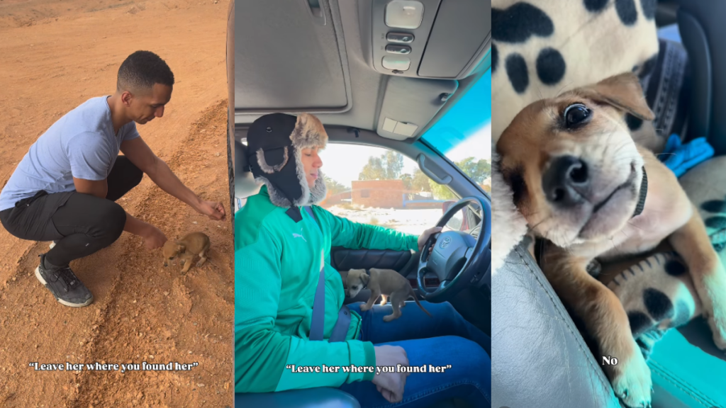 Rescue Puppy Becomes the Reason Owners’ Lives Are Even Better Now