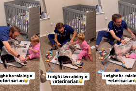 Dog Has the Best Time When Little Girl & Dad Play Doctor With Him