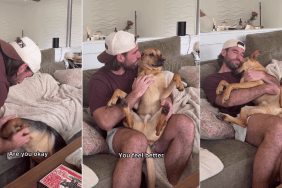 Rescue Dog Gets Comforted by Dad Like Baby After Falling off the Couch