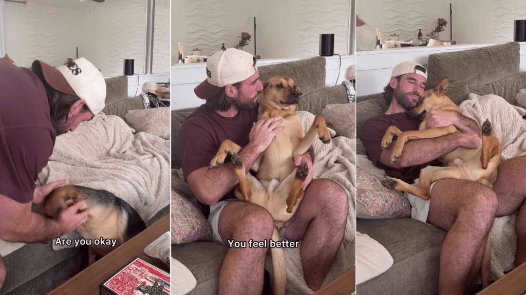 Rescue Dog Gets Comforted by Dad Like Baby After Falling off the Couch
