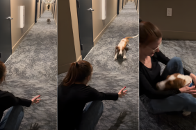 Dog Runs Over to Mom as She Picks Him up From Grandparents’ House