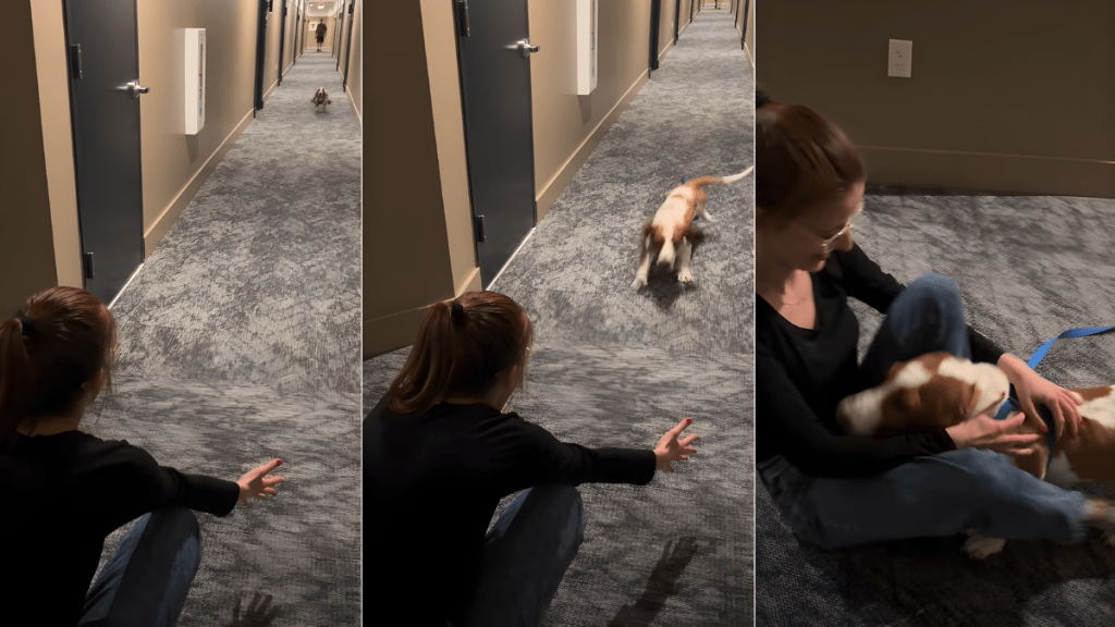 Dog Runs Over to Mom as She Picks Him up From Grandparents’ House