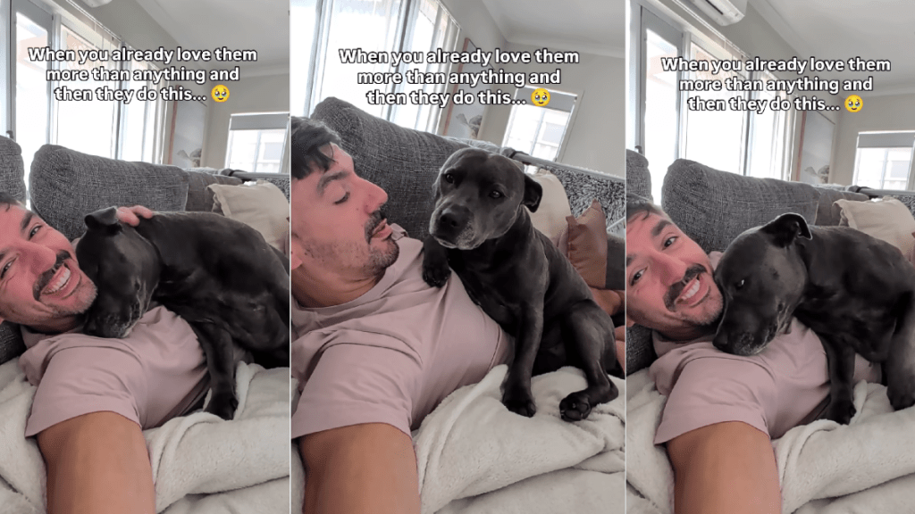 Dog’s Adorable Gesture Proves She Loves Dad More Than It Appears