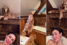 Golden Retriever Finds Perfect Spot To Guard Mom While She’s in Bath