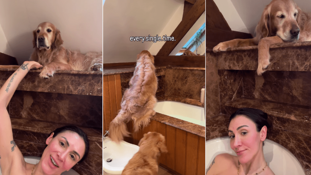 Golden Retriever Finds Perfect Spot To Guard Mom While She’s in Bath