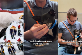 Blind Shelter Dog Chooses Love Over Treats & Finally Gets a Name